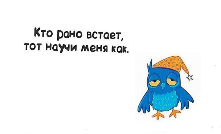 А вы меня уже. Кто рано встает. Картинка кто рано встает тот. Кто рано встает у того. Жаворонок это кто рано встает.