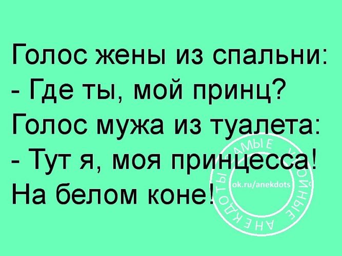 Голос жене. Голос жены из спальни где ты мой принц. Решающий голос жены. С годами голос жены меняется от колокольчика до циркулярки. Голосовое от жены.