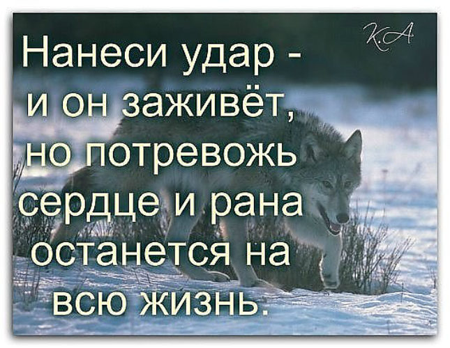 Душа волка цитаты в картинках