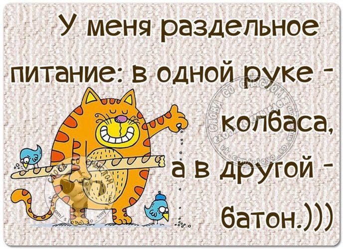 Картинки про воскресенье прикольные для поднятия настроения