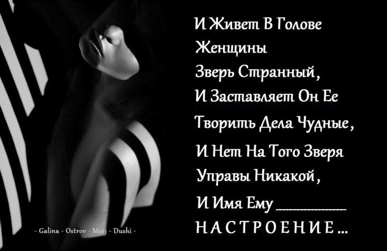 И живёт в голове женщины зверь. Афоризм и живёт в голове женщины зверь странный. Доброе утро картинки с юмором. Шутки про рукодельниц. И живет в голове женщины.