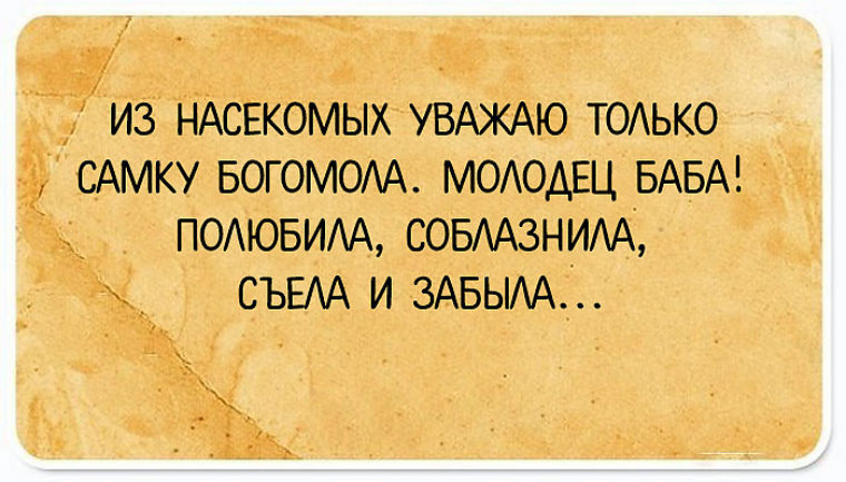 Молодец баба никого не сдала. Уважаю самку богомола молодец баба. Самка богомола полюбила. Из насекомых уважаю самку богомола.