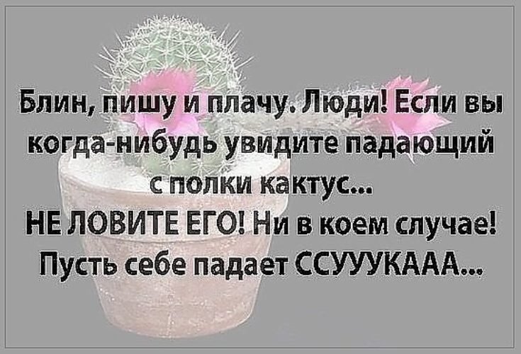 плачь глагол как пишется. плачем пишем. письмо девушке. плач как пишется правильно. грустный ученик.
