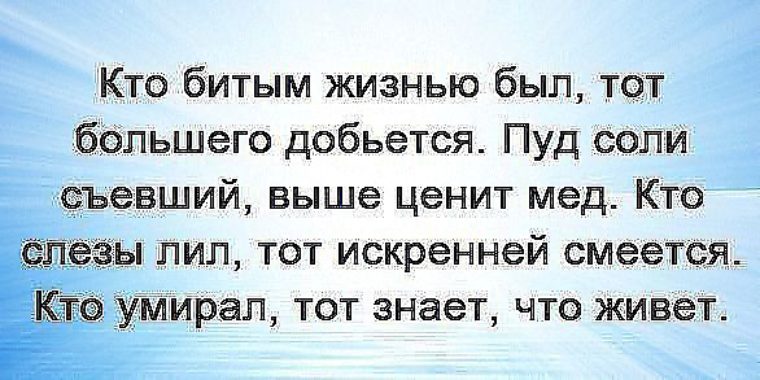 Кем быть в жизни. Кто битым жизнью был. Кто битым жизнью был тот большего добьется. Кто жизнью бит тот большего добьется. Тот большего добьется.