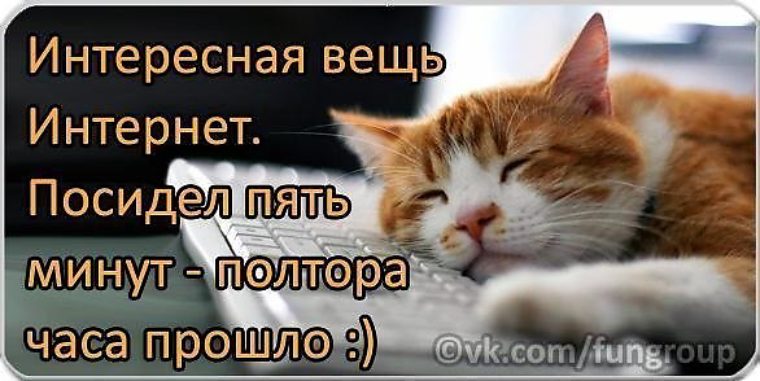 Приколы про интернет картинки с надписями