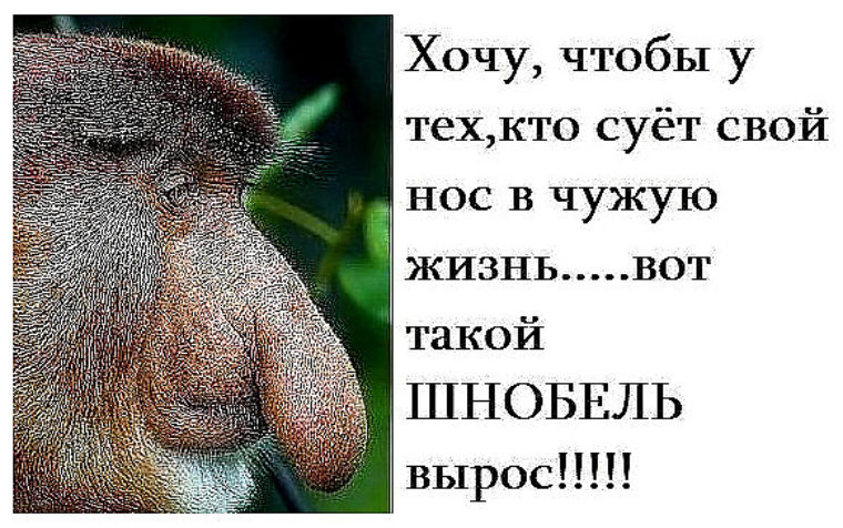 Папе, картинки с надписями не лезьте в чужую