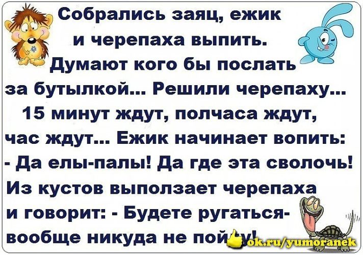 Подружки вместе собрались. Волк заяц и хомяк собрались в китай. Собрались как то. Анекдоты про студентов смешные. Анекдот про козла и зайца.