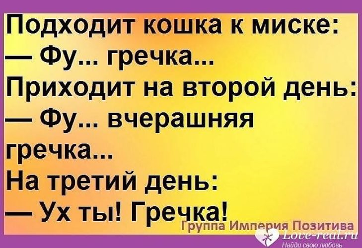 гречка гречка гречка анекдот. сегодня на ужин гречка с чем тебя и поздравляю. анекдот про гречку. вау гречка анекдот про кота. шутки про гречку.