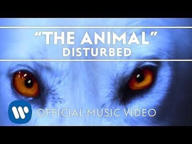 Disturbed animal
