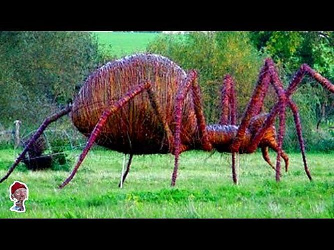 Самый большой паук в мире за всю историю человечества фото