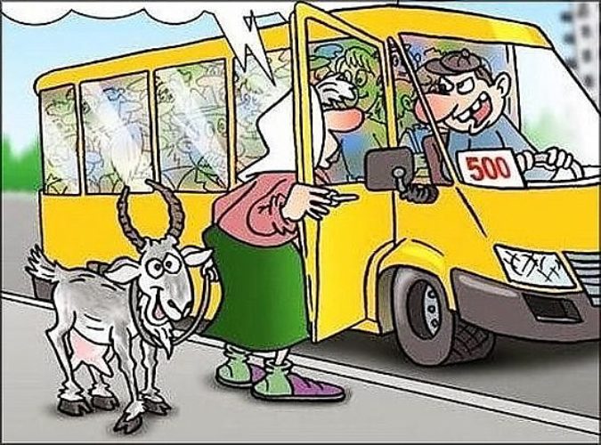 Приколы из маршруток картинки