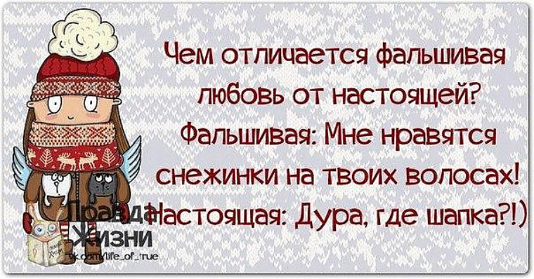 Сколько дура стоит. Смешные высказывания. Цитаты про любовь прикольные. Смешные выражения про любовь. Смешные высказывания про любовь.