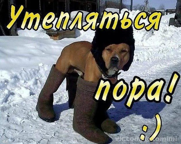 Картинки что то похолодало