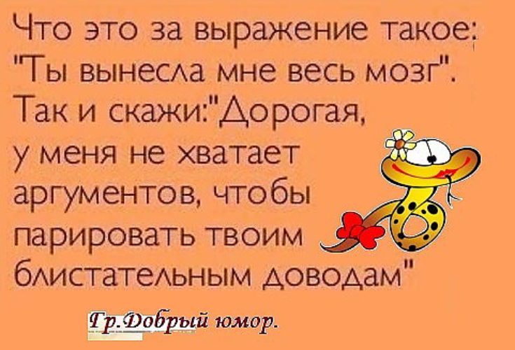 Есть такое выражение. Анекдот про вынос мозга. Статус про вынос мозга. Шутки про вынос мозга. Анекдот про мужские мозги.