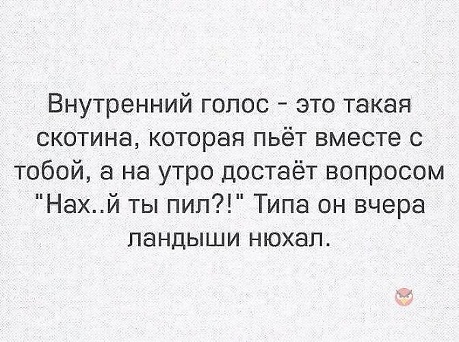 Внутренний голос другого человека. Внутренний голос прикол. Внутренний голос это такая скотина которая пьет вместе с тобой. Анекдот про внутренний голос. Внутренний голос цитаты.