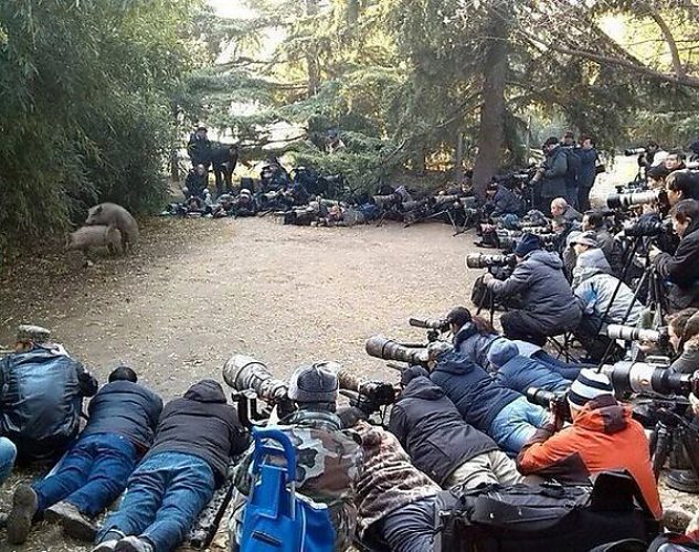 Смешные картинки мы здесь сегодня собрались