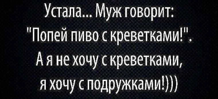 Говорящий попит. Говорящий попит. Говорящий попит. Мне сказали пить надо в меру я. Надо меньше пить.