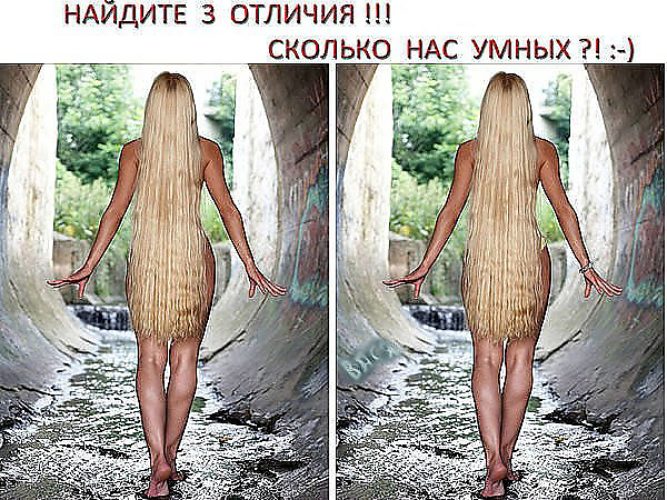 С Нами Стыдно Зато Весело Картинки С Надписями