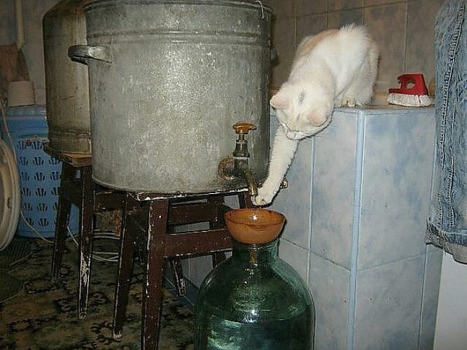 Картинки самогонный аппарат прикольные