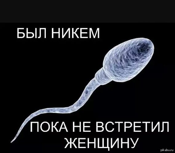 К Чему Снится Секс В Попу К Чему Снится Секс В Попу