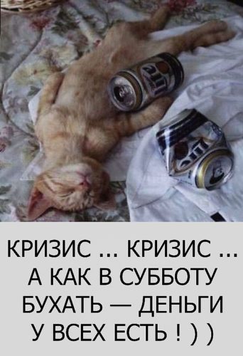 Сны картинки, картинки бухнем в субботу