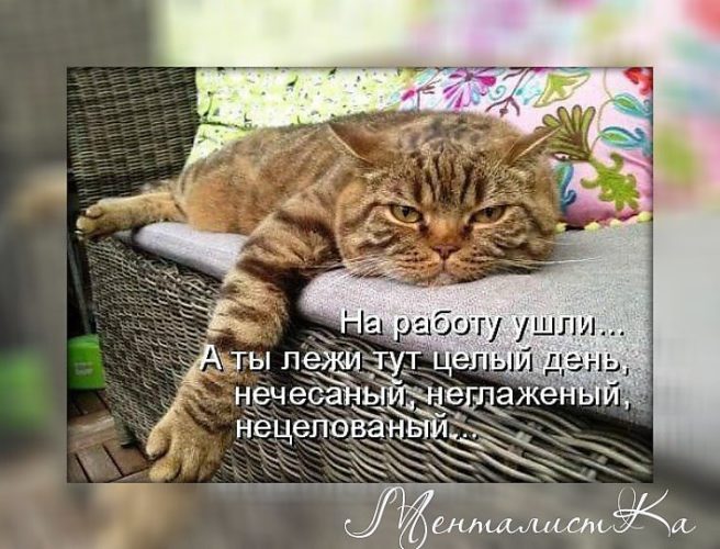 Чешу На Работу Картинки