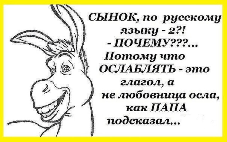 Вырубить осла что это значит