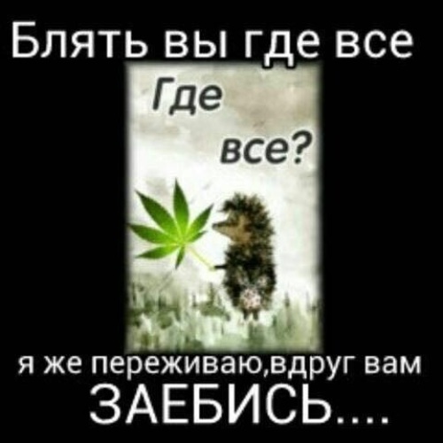 Ау ты где