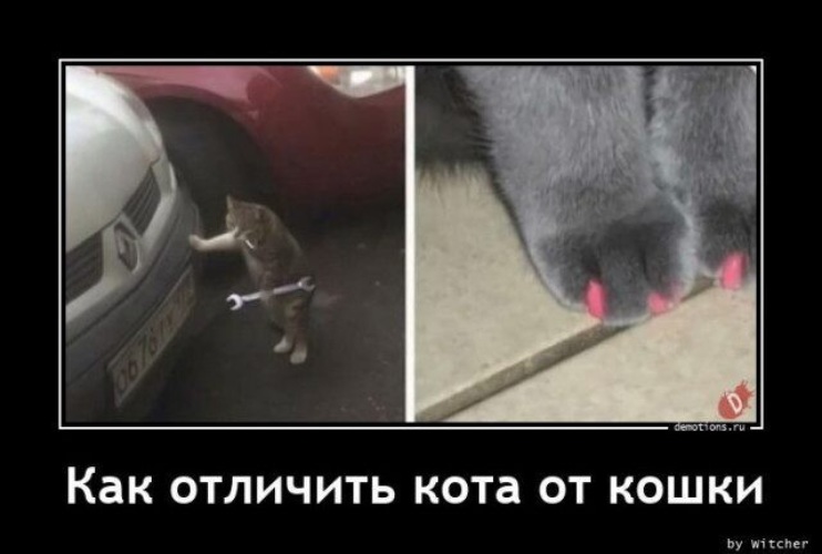 Демотиваторов Орг