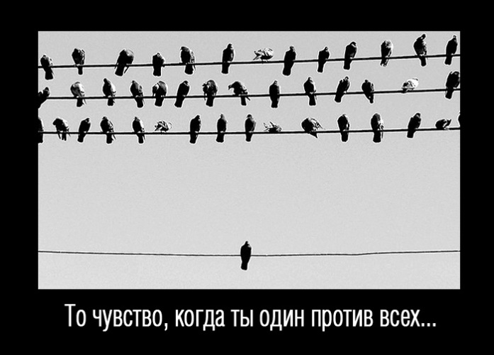 Я один на всех. Я один на всех