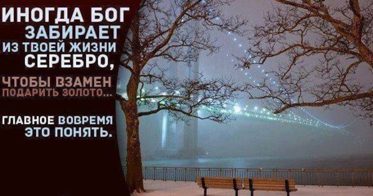 Давать взамен. Ежик на голове. Высказывания про ежа. Бог взял деньгами. Давать взамен.