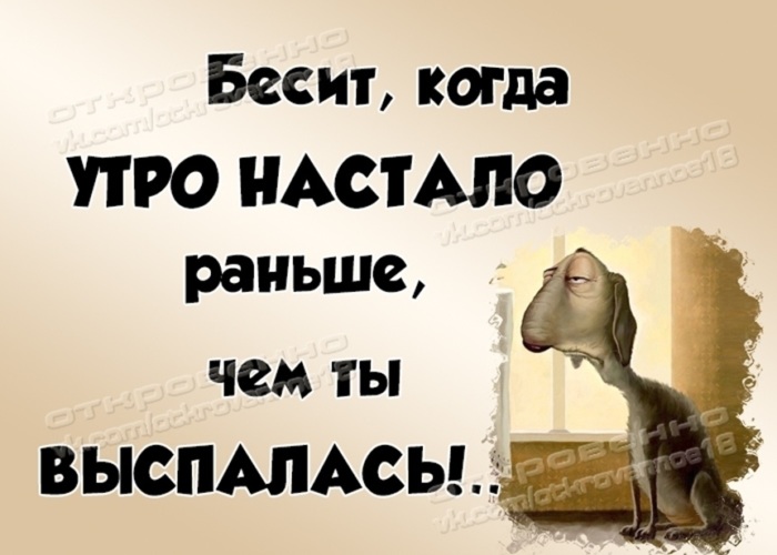 Кто по утрам тот поступает. Кто пьет свой кофе по утрам тот поступает мудро. Кто пьет по утрам тот поступает мудро. Кто пьет кофе по утрам тот поступает мудро. Кто пьет с утра тот поступает мудро