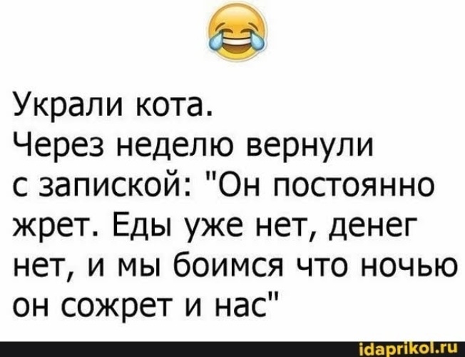 Неделя вернуть