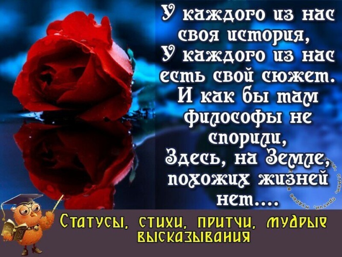 Никогда не о чем жалейте стихотворение. Статусы стихи притчи Мудрые высказывания. Статусы в стихах. Никогда не сожалейте ни об одном дне в своей жизни хорошие. Статусы притчи.