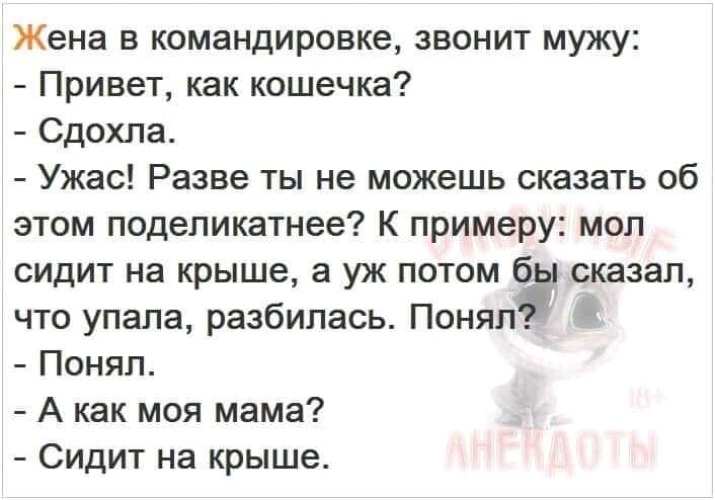 Привет мужу. Анекдот сидит на крыше. Прикол мама сидит на крыше. Жена в командировке.