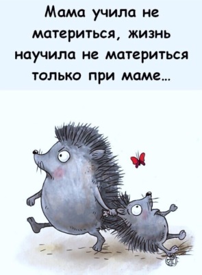 3118867_295x460.jpg