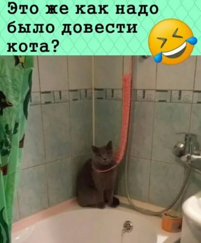 Stream funny bunny gif fast by bozo/taco Listen online for free on SoundCloud