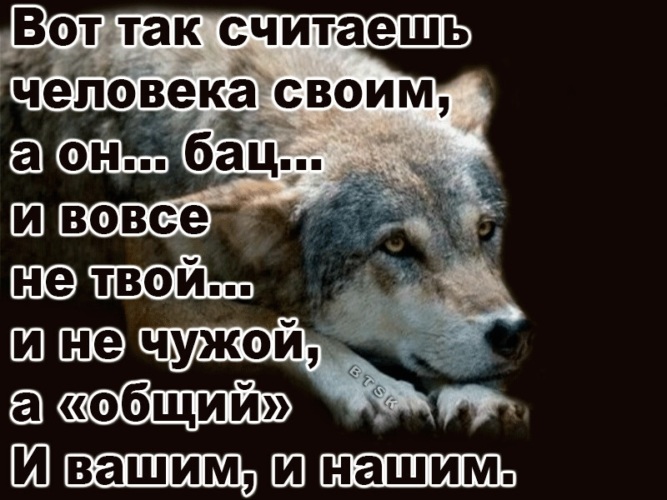 Красивые фразы на аватарку. В этой жизни надо что то менять. Этим и считаю что иногда. Цитаты про легкую жизнь. Иногда хочется все высказать.