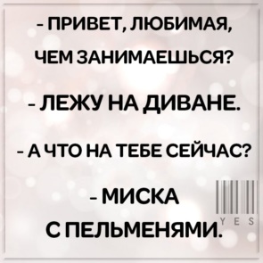 3147326_295x460.jpg