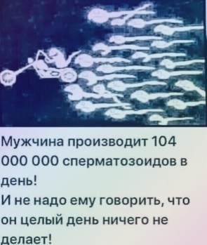 https://p2.tabor.ru/feed/2021-04-06/27191761/3161924_295x460.jpg