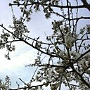 Незнакомка, 49 лет