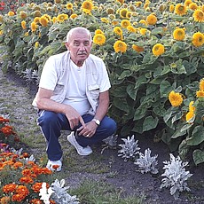 Фотография мужчины Александр, 66 лет из г. Новокузнецк