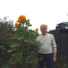 Фотография мужчины Владимир, 65 лет из г. Димитров