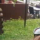 Александра, 37 лет